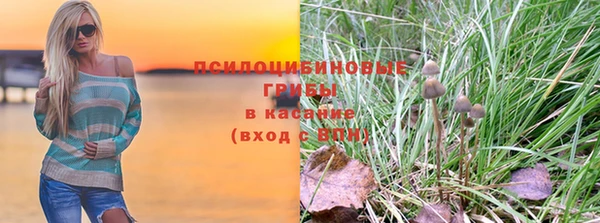 дмт Абинск
