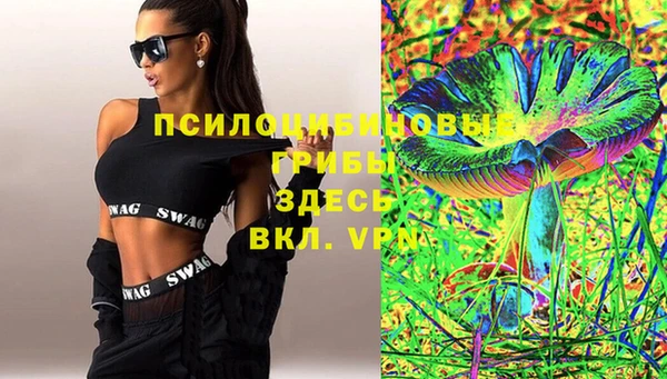 Альфа ПВП Иноземцево