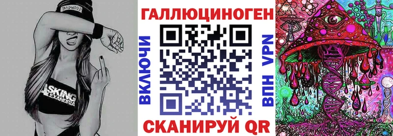 Галлюциногенные грибы Psilocybe  Зубцов 